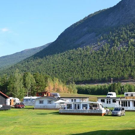Mogard Skjåk Quarto foto