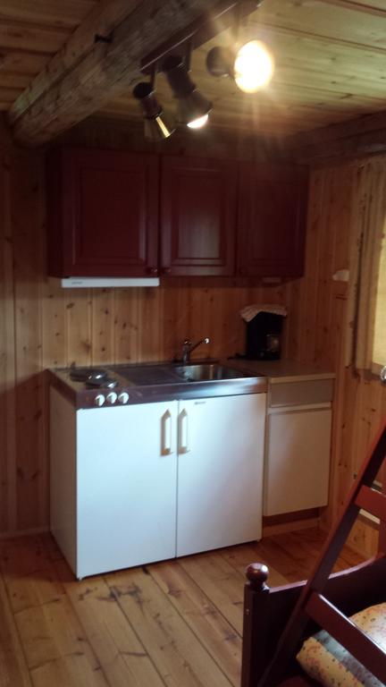 Mogard Skjåk Quarto foto