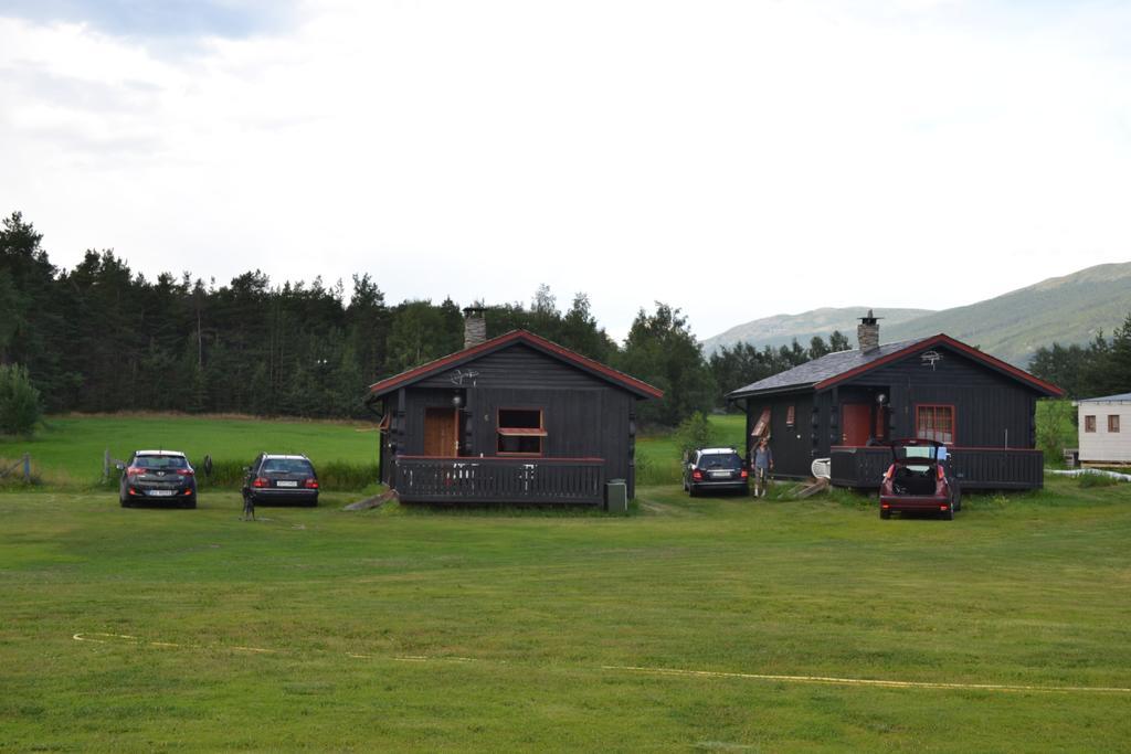 Mogard Skjåk Quarto foto